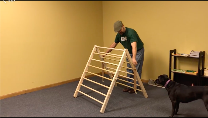 Pikler's Triangle Demonstration thumb